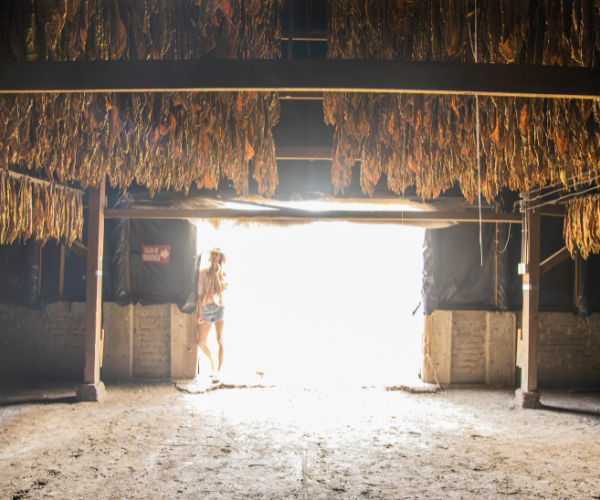 Pappy & Company Cigars: A Trip To Nicaragua