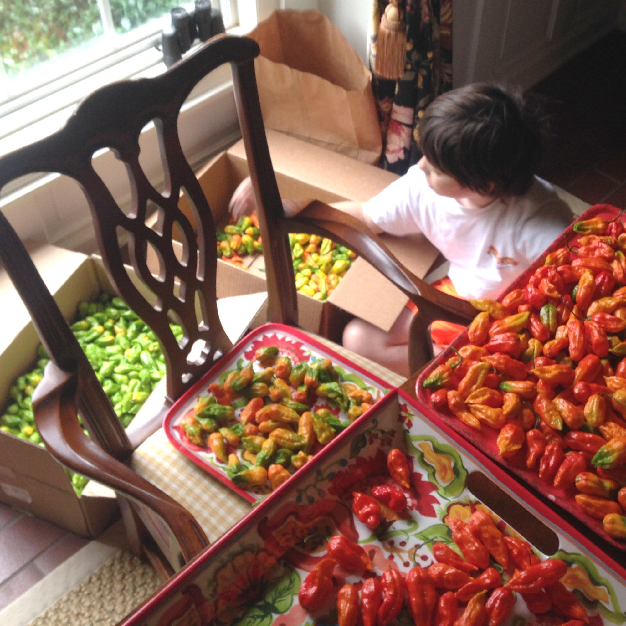 Behind the Scenes: Our Midland Ghost Pepper Sauce