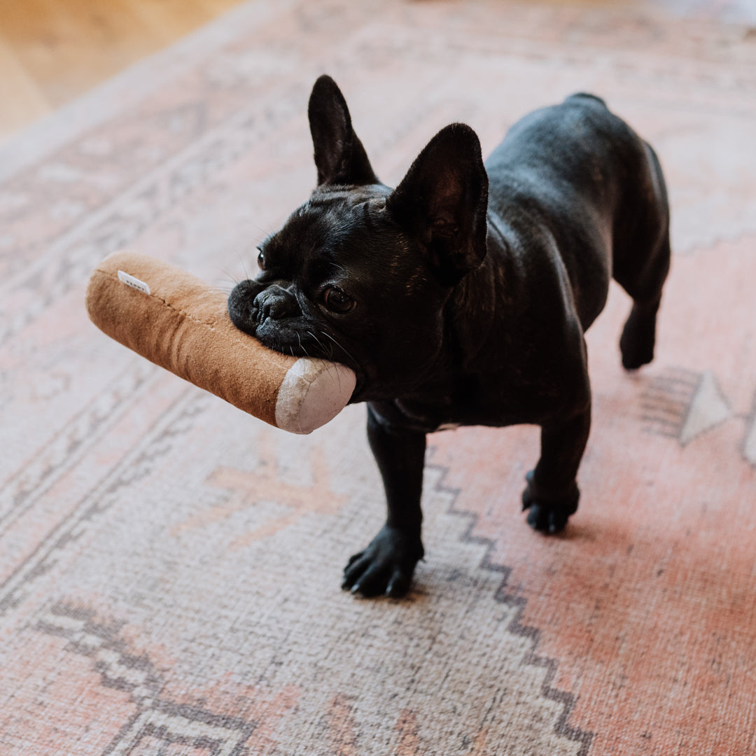 Pappy Cigar Plush Dog Toy - Case of 12