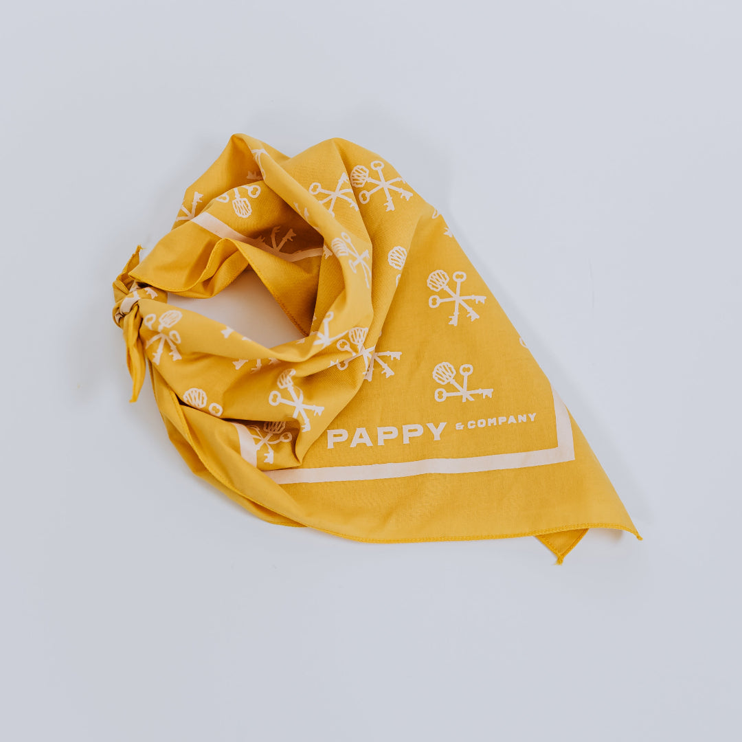 Pappy & Company Keys Print Bandana