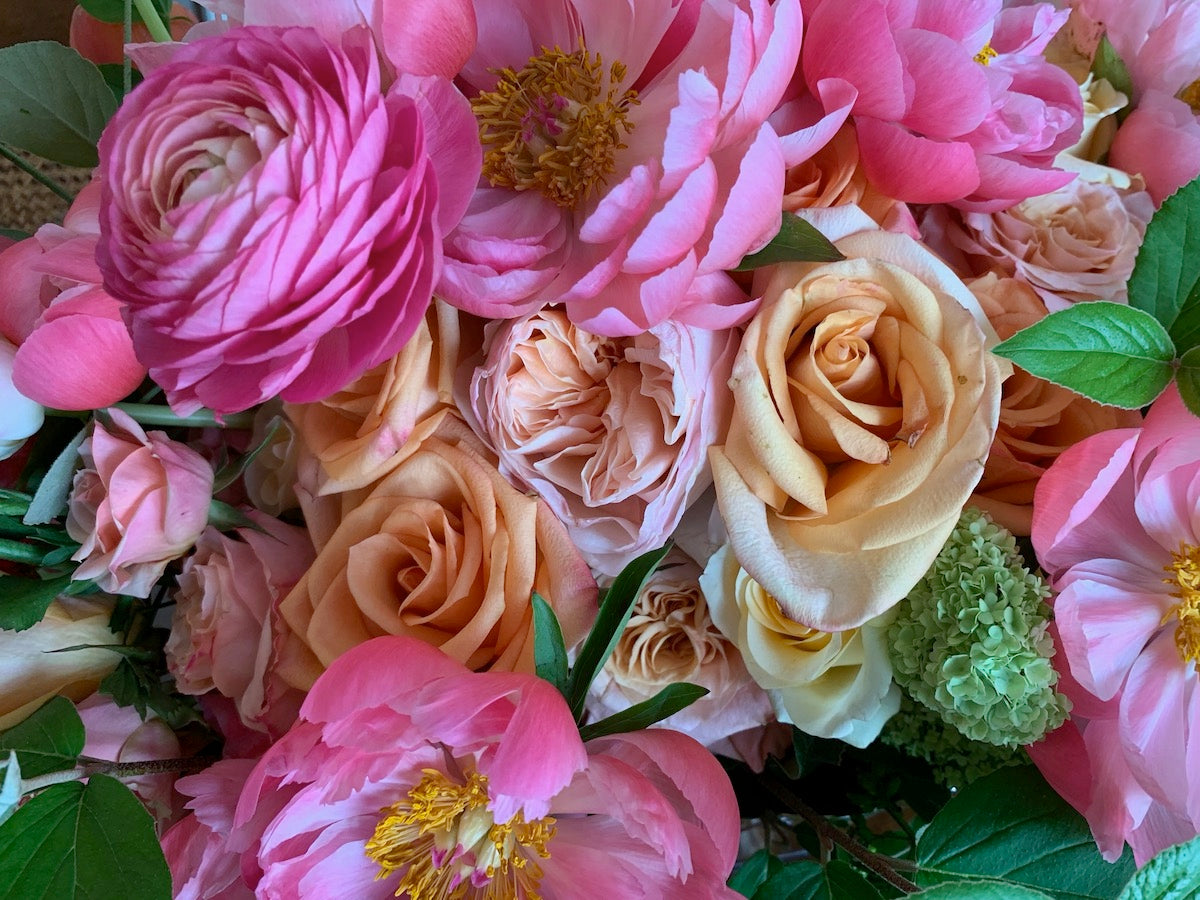 Introducing The Season of Celebration