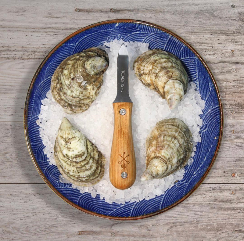 Toadfish Oyster Knife - Wood (Limited Edition)