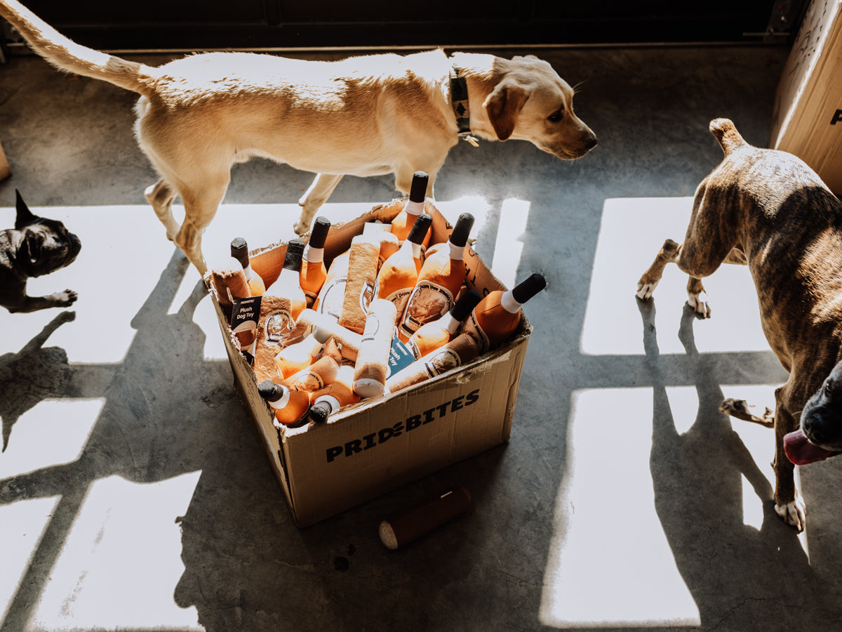 Partnership Spotlight: Pappy & Company X PrideBites