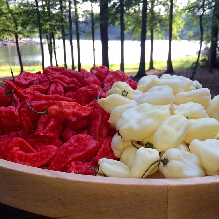 Partner Spotlight: Midland Ghost from Midland, Georgia