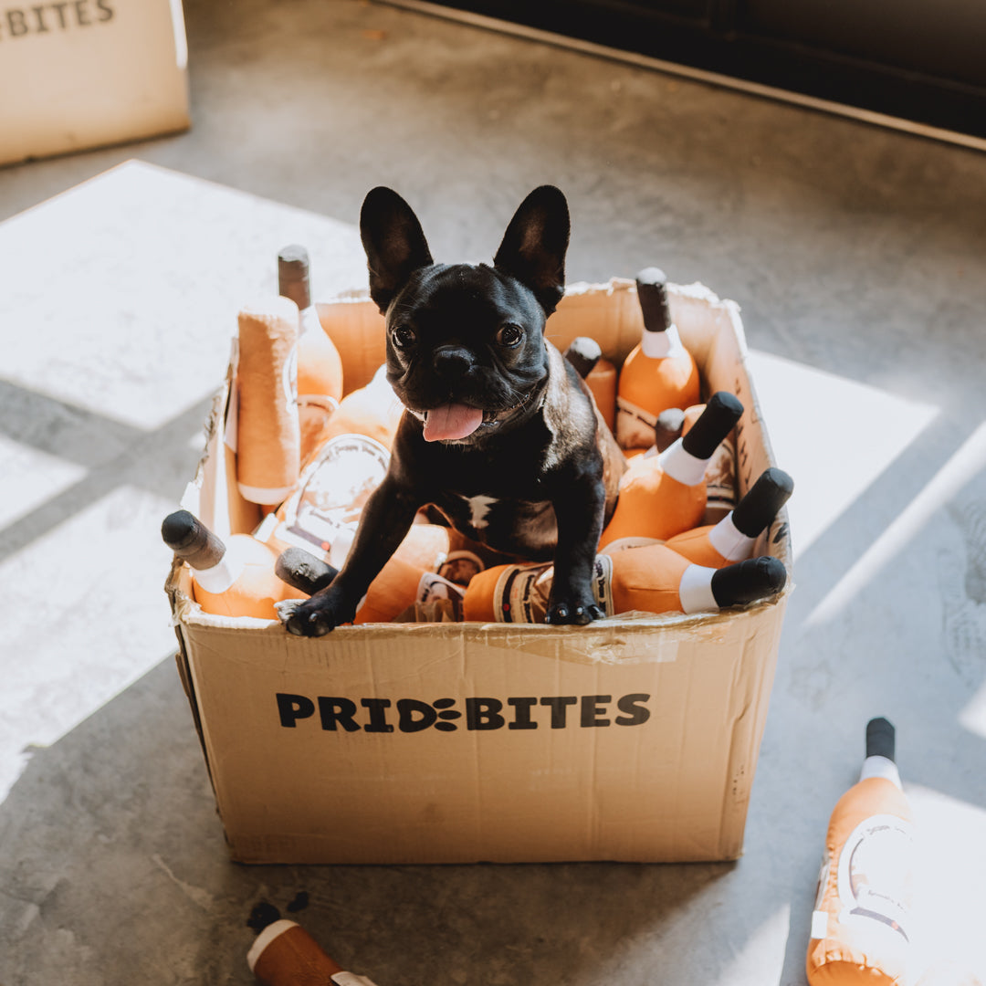 Pappy Bottle Canvas Dog Toy - Case of 12