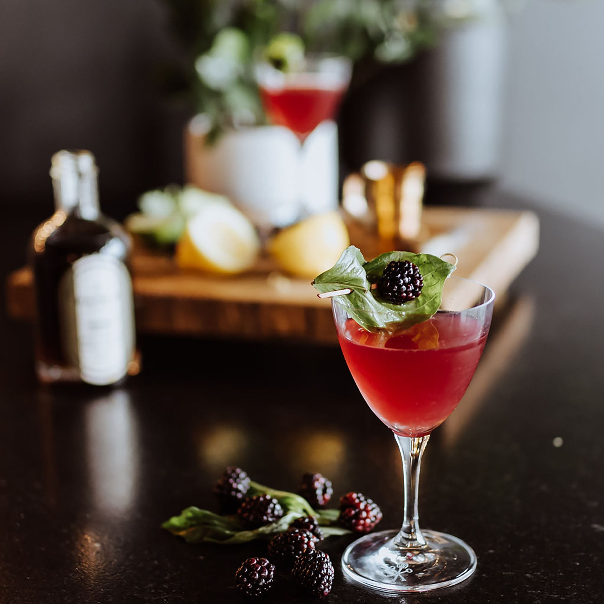 Signature Keys Nick and Nora Cocktail Glasses (Set of 2)